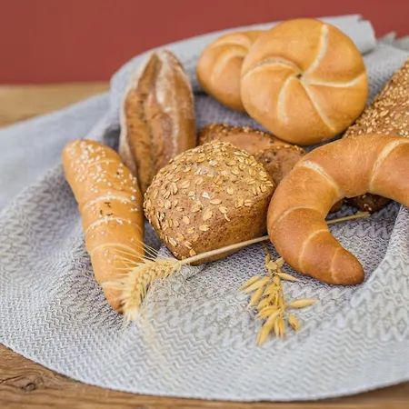 Holzer 아파트호텔 바이센제